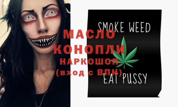хмурый Арсеньев