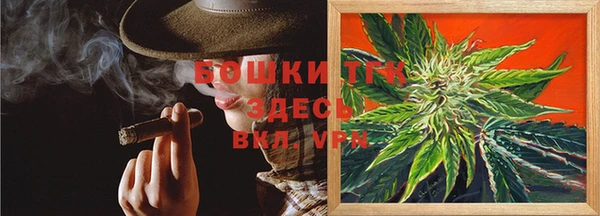 прущие грибы Нефтекумск
