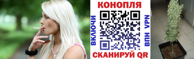 Бошки Шишки сатива Бронницы